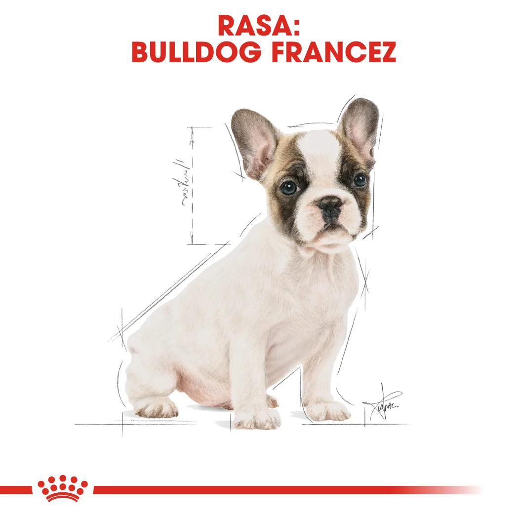 Royal Canin French Bulldog Puppy 3 kg