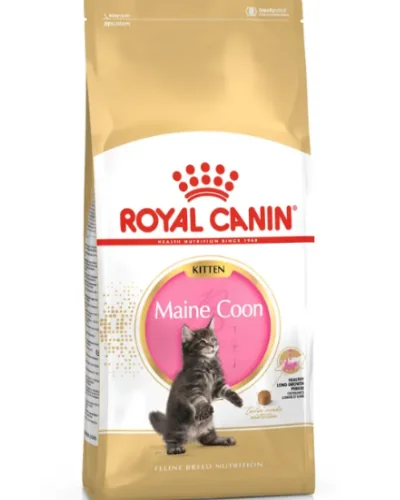 Royal Felin Kitten Mainecoon 2 kg