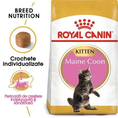 Royal Felin Kitten Mainecoon 2 kg