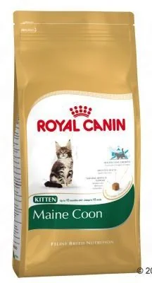 Royal Felin Kitten Mainecoon 2 kg