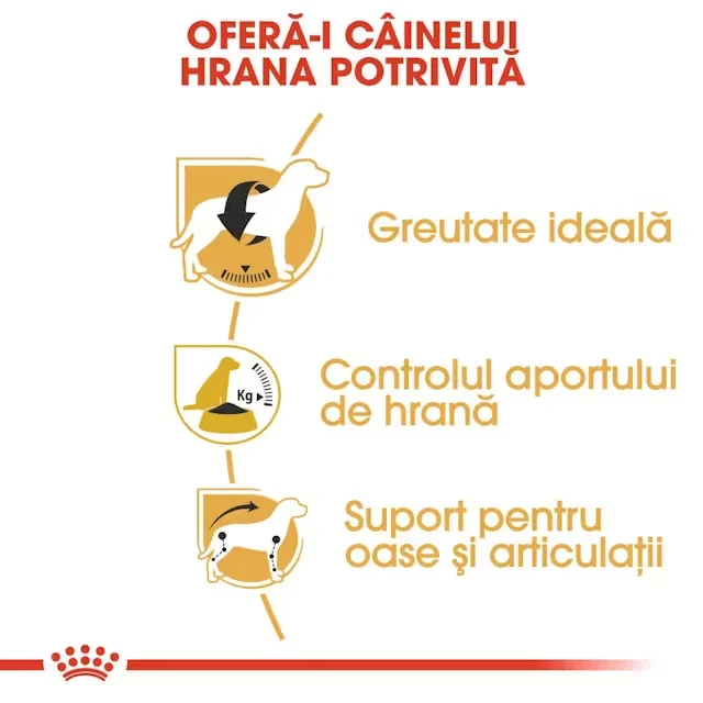 Royal Canin Beagle Adult 3 Kg