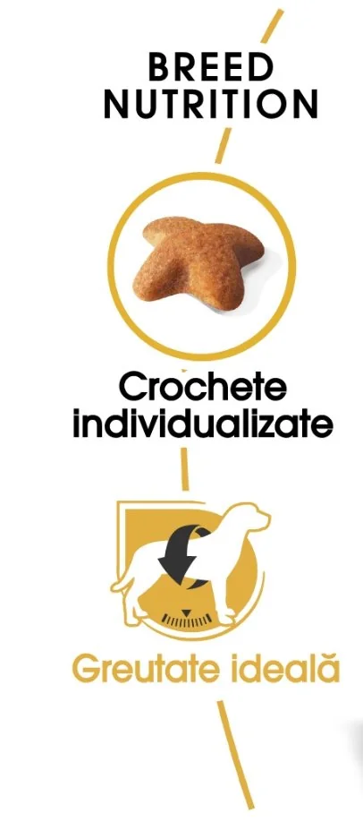 Royal Canin Beagle Adult 3 Kg