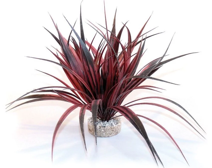 Sydeco Plante Amazonia 22cm 349617