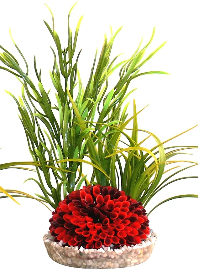 Sydeco Plante Islet Plant 22cm 349649