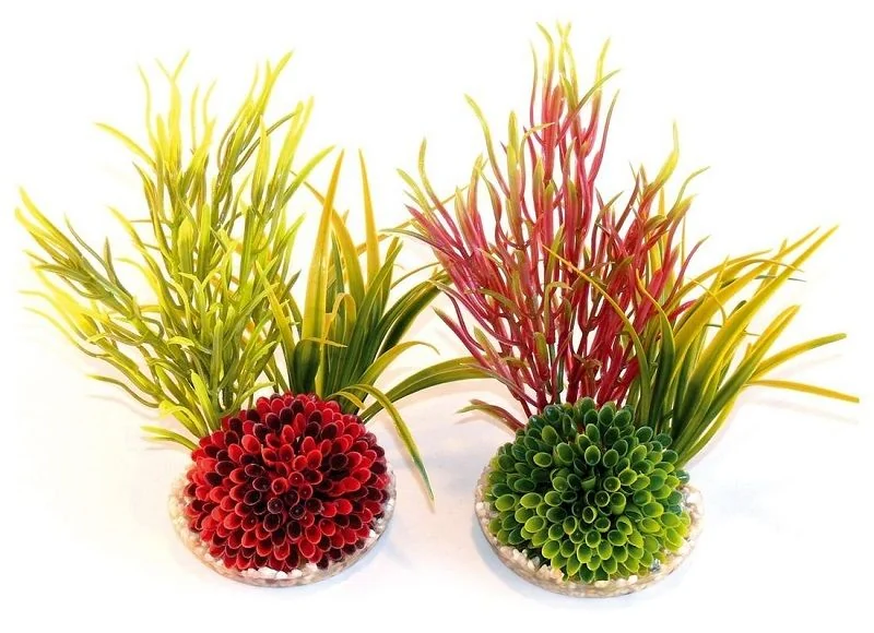 Sydeco Plante Islet Plant 22cm 349649