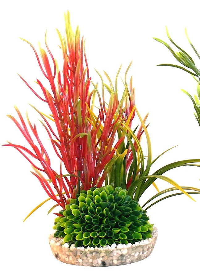 Sydeco Plante Islet Plant 22cm 349649