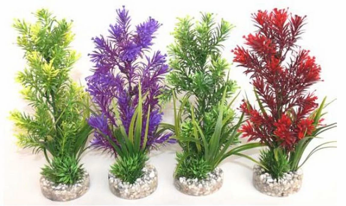 Sydeco Planta AP Medium 22cm 349701