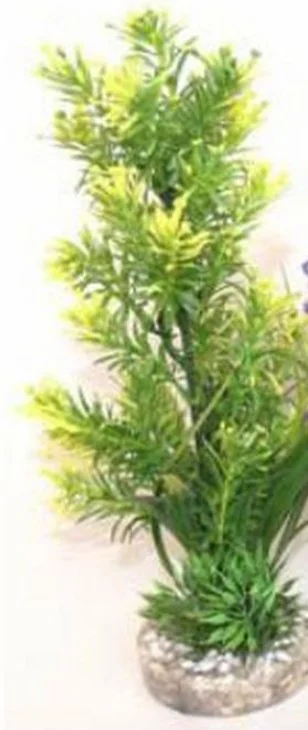 Sydeco Planta AP Medium 22cm 349701