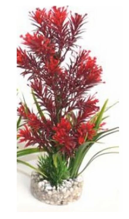 Sydeco Planta AP Medium 22cm 349701