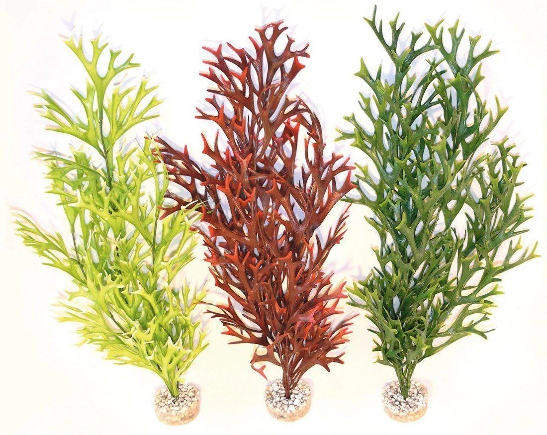 Sydeco Plante Water Fern Maxi Flexible 58 cm 350103