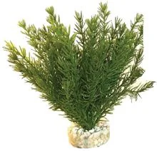 Sydeco Planta Club Moss Maxi 30 cm 350106