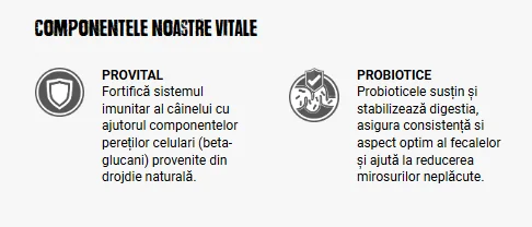 Belcando Adult Multi Croc 12.5 kg