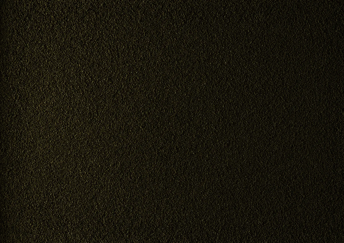 Tetra Phyll Granulat 250 ml