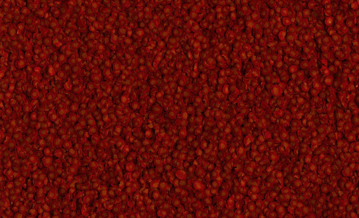 Tetra Goldfish Pro Crisp 100 ML