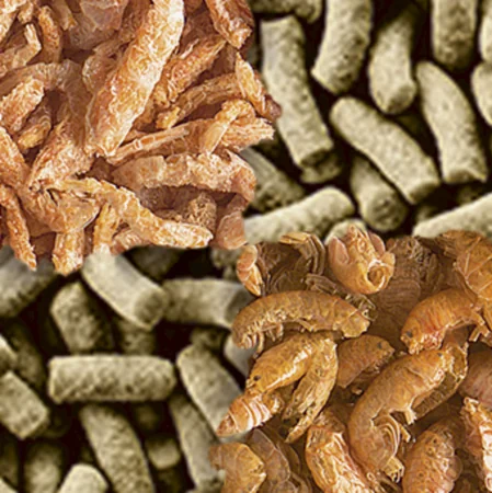 Tetra Reptomin Menu 250 ml