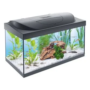 Tetra Acvariu Starter Line Led Day&Night 54 L Negru