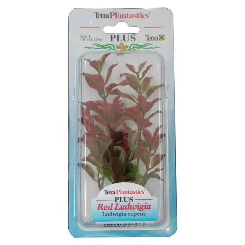 Tetraplant Red Ludwigia 23 cm