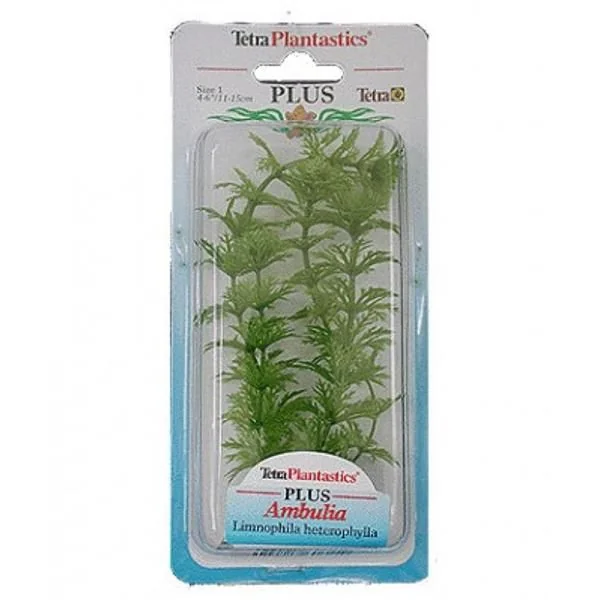 Tetraplant Ambulia 38 cm