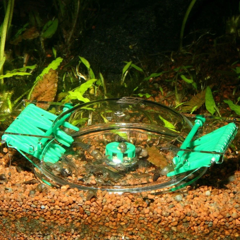 JBL Capcana Melci Lim Collect