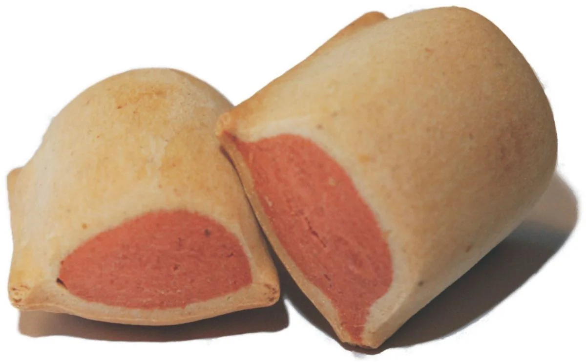 Bosch Biscuiti Duo Somon 10 kg