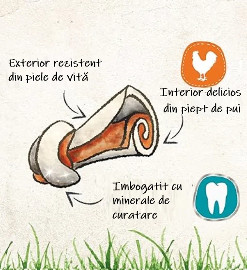 8in1 Os Pro Dental S