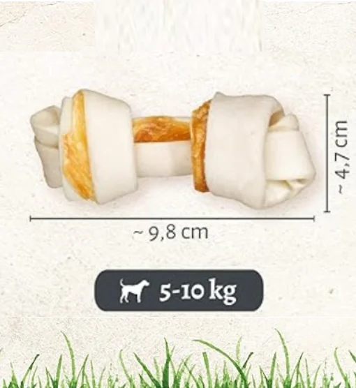 8in1 Os Pro Dental S