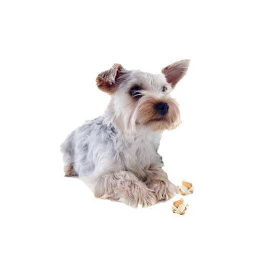 8in1 Mingii Delights M