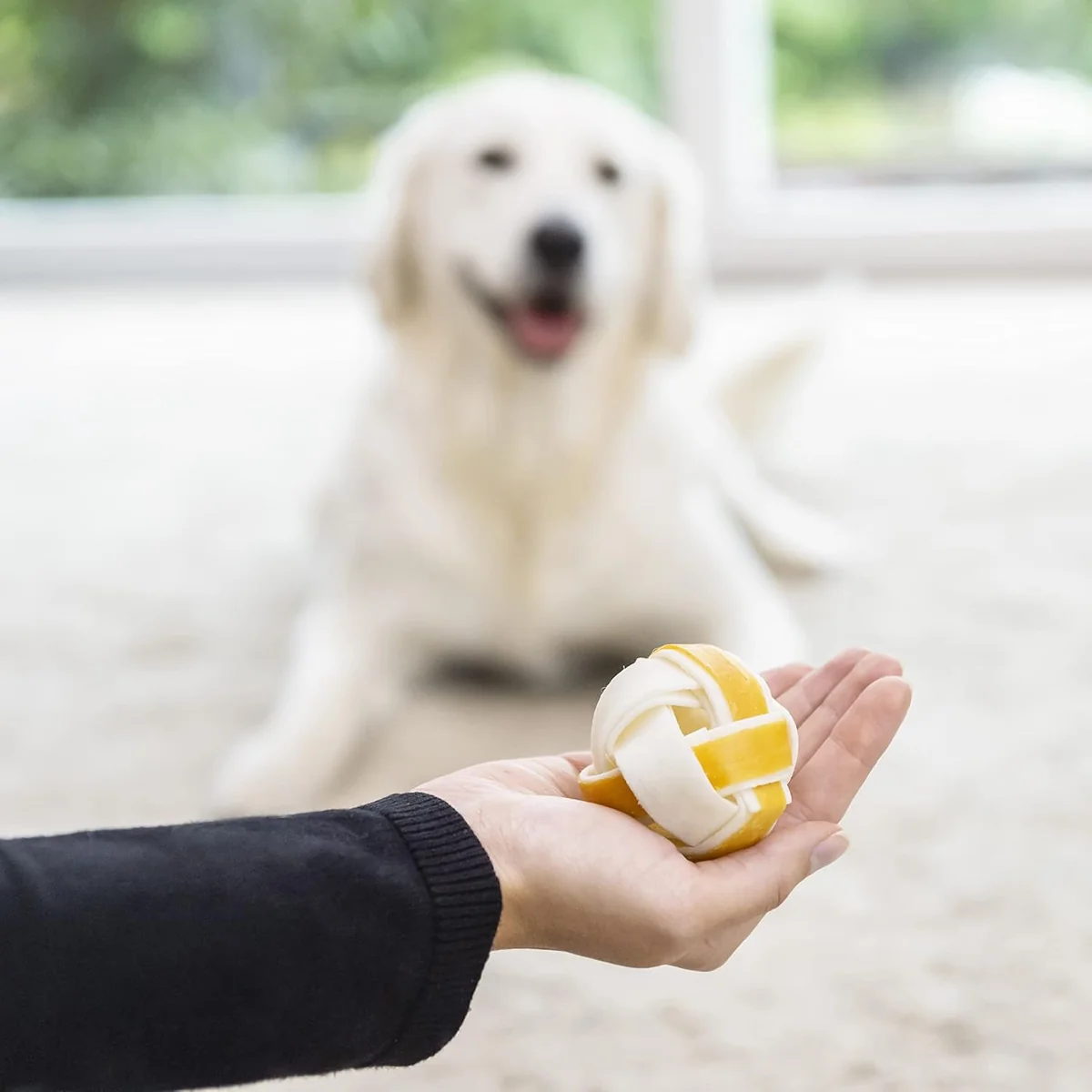 8in1 Mingii Delights M