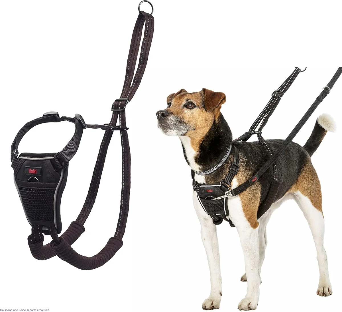 Coa Halti Ham Caine S