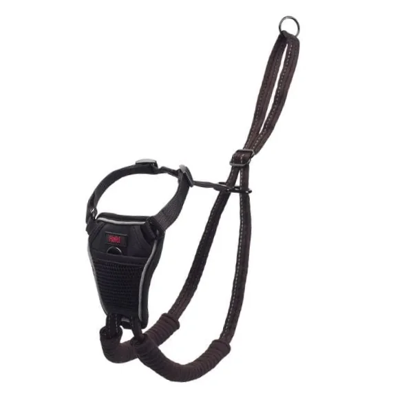 Coa Halti Ham Caine S