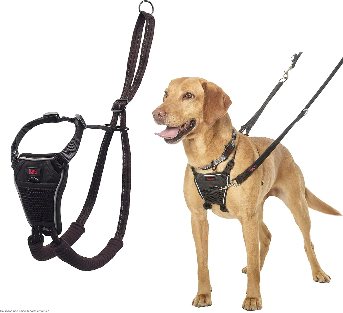 Coa Halti Ham Caine M