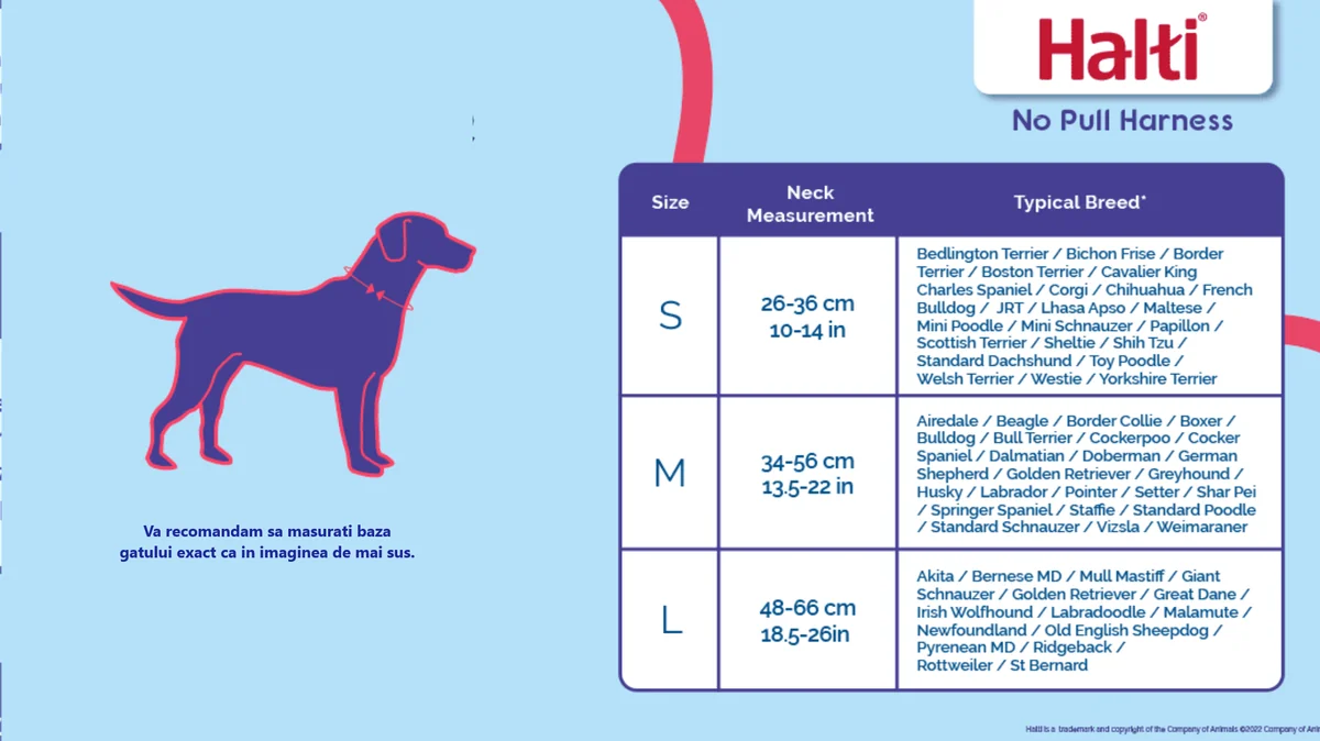 Coa Halti Ham Caine M