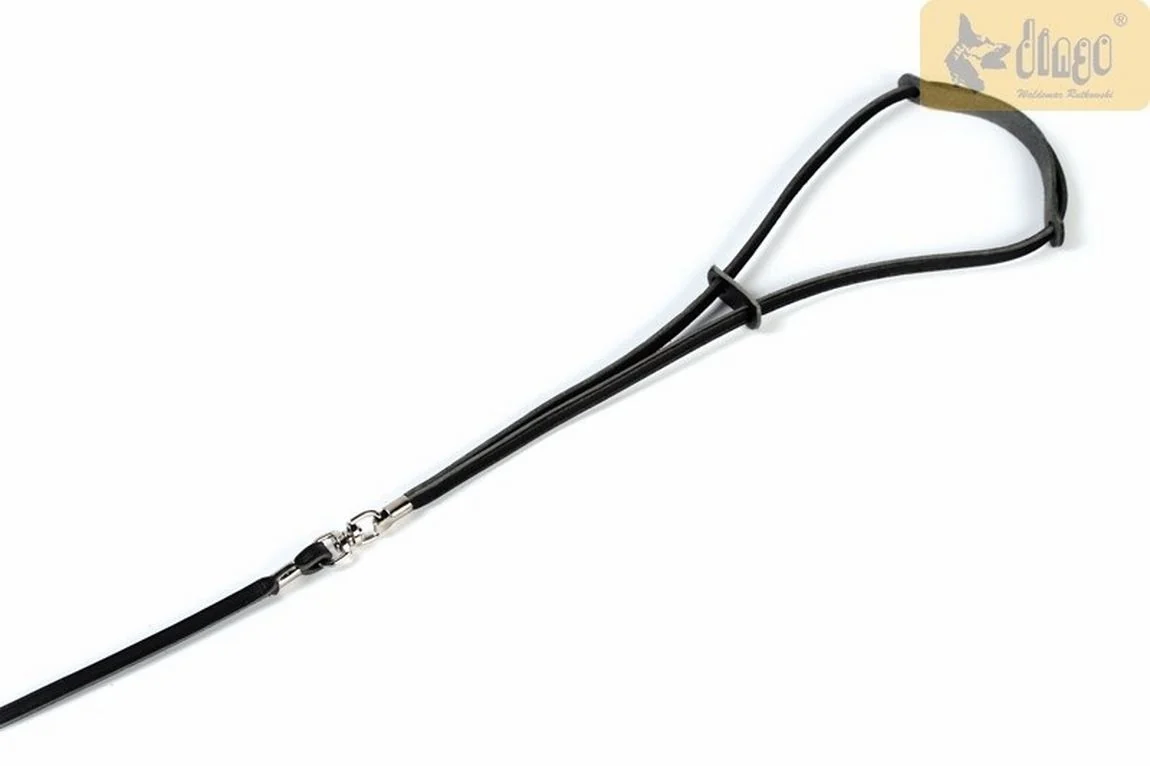 Dingo Lesa Prezentare 6 mm Negru