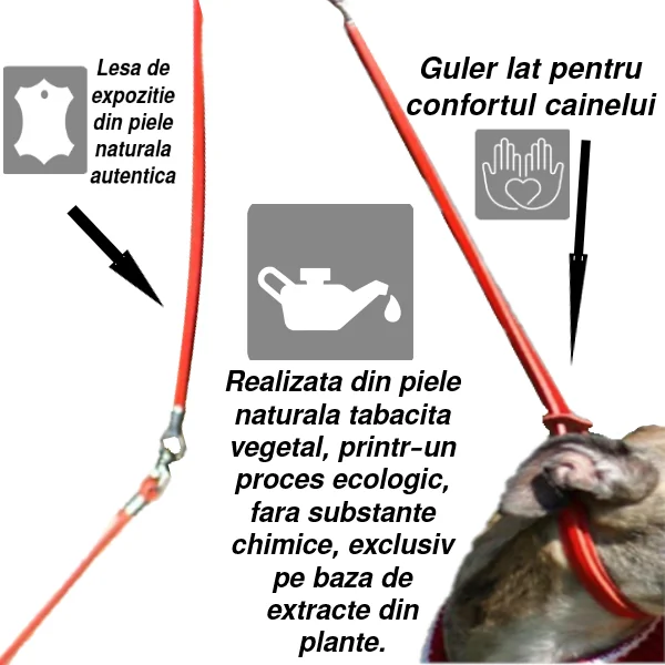 Dingo Lesa Prezentare 6 mm Maro