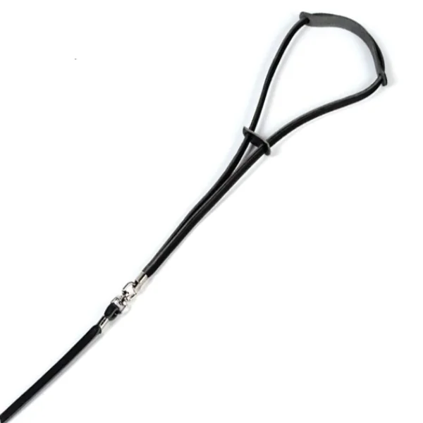 Dingo Lesa Prezentare 8 mm Maro