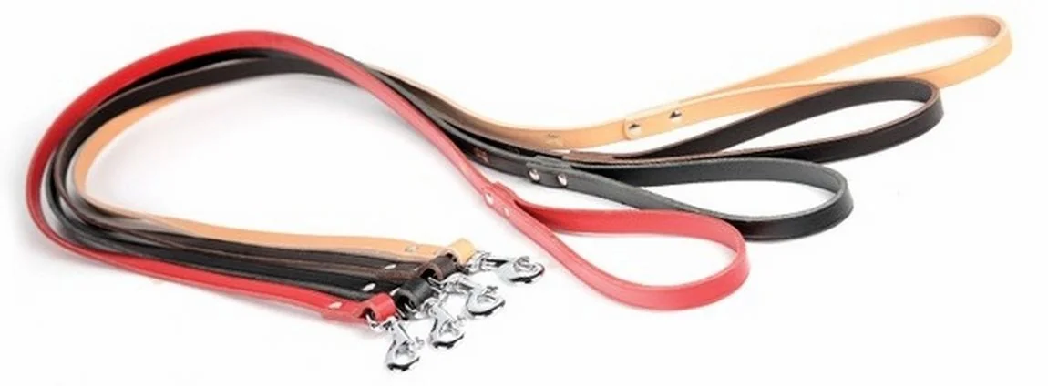 Dingo Lesa Piele 10 mm x 120 cm Verde