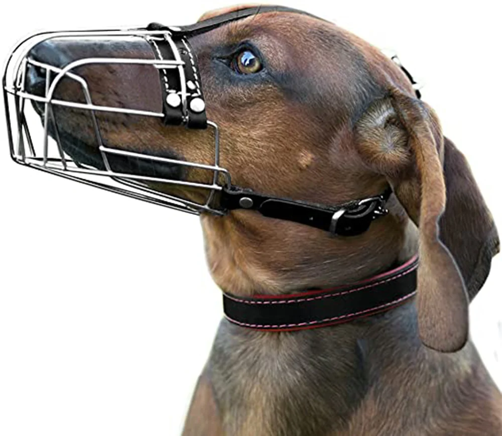 Dingo Botniță Metal Teckel Mic Nr 1