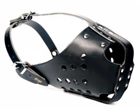 Dingo Botniță Piele Ciobănesc German 4061