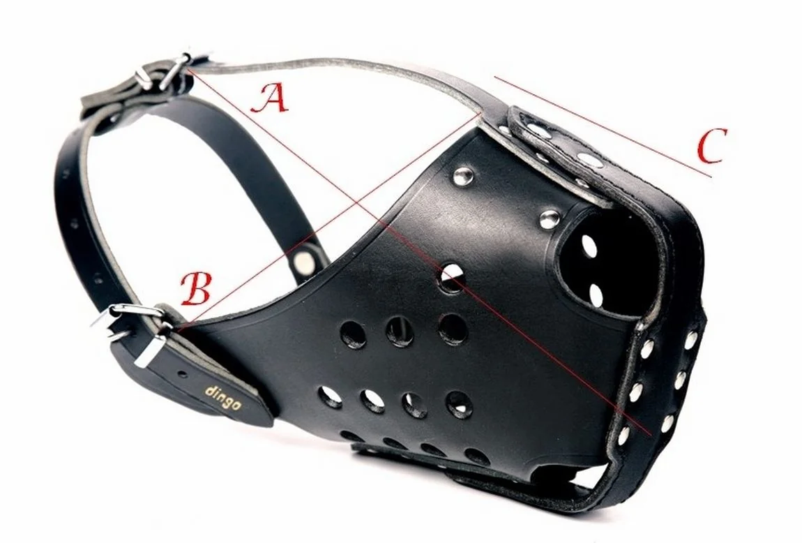 Dingo Botniță Piele Ciobănesc German 4061