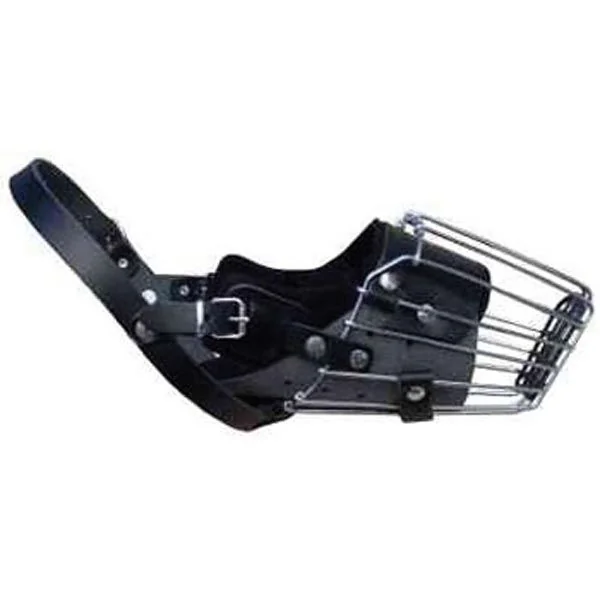 Dingo Botniță Metal Pitbull 4159