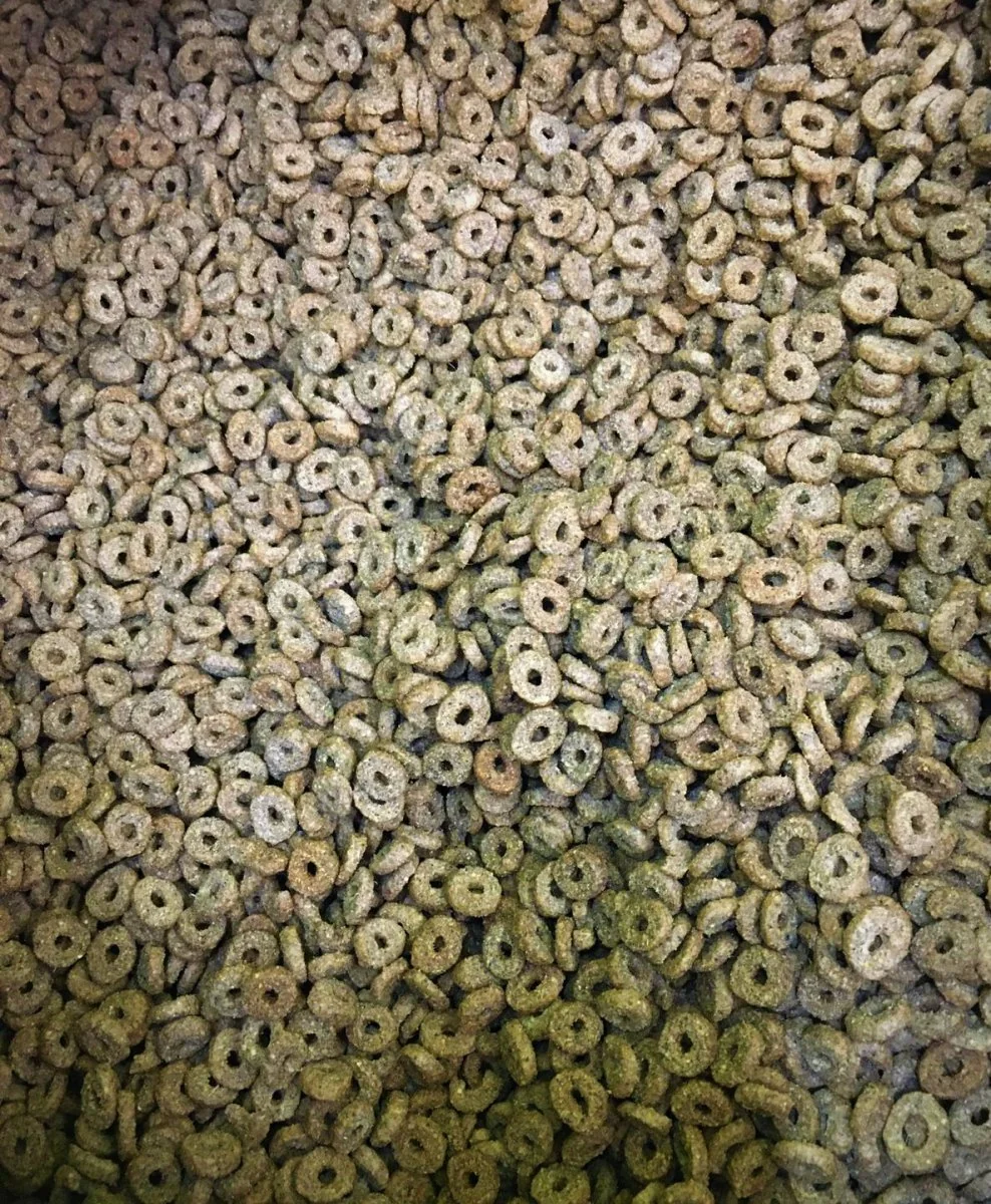 Mitzura Cat Pui Si Curcan 20 kg