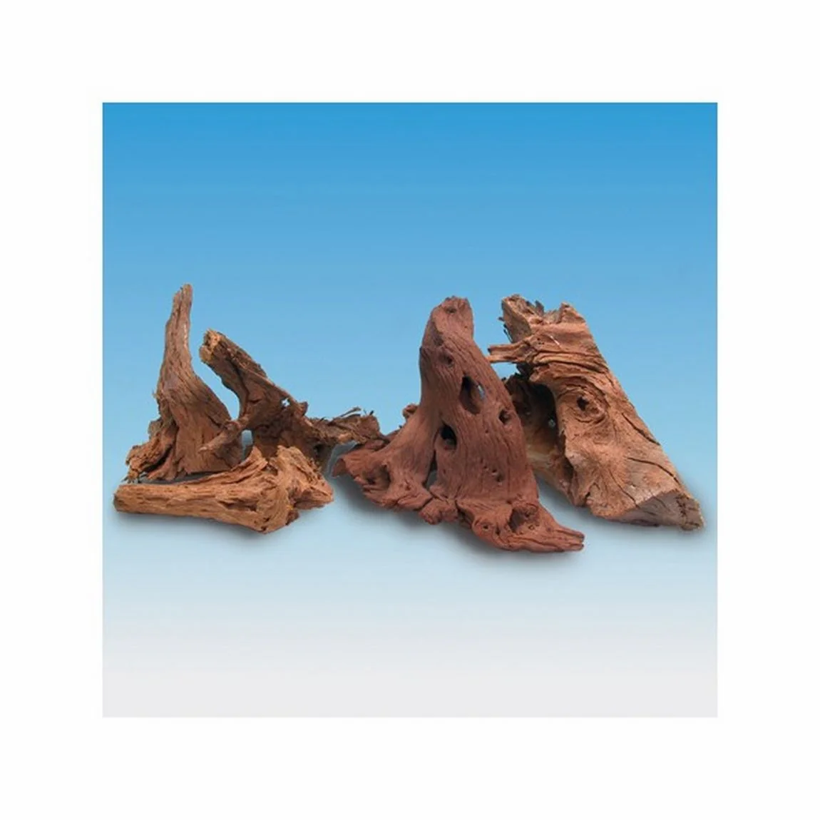 Decor Radacina Natural M