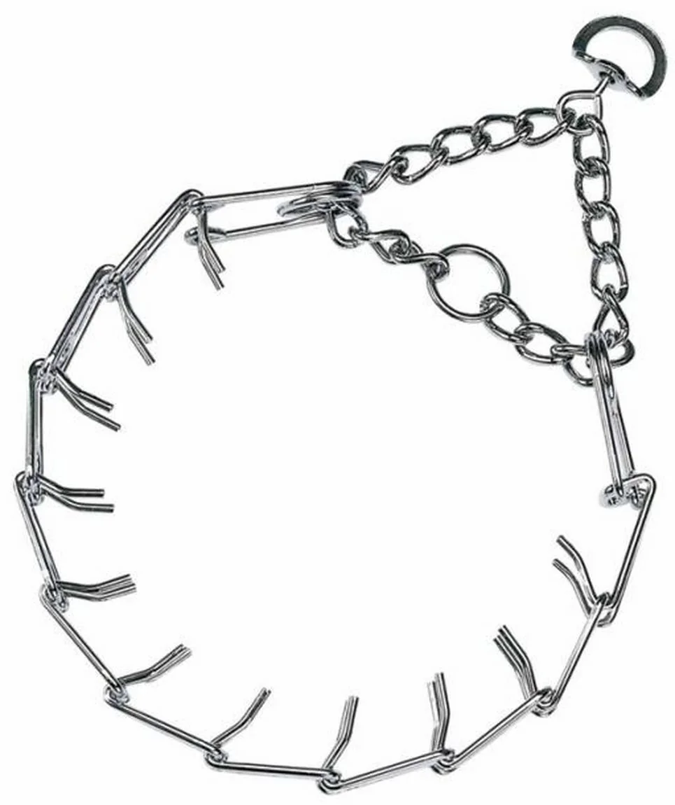 Pet Expert Zgarda Forta 3MM 8 Zale