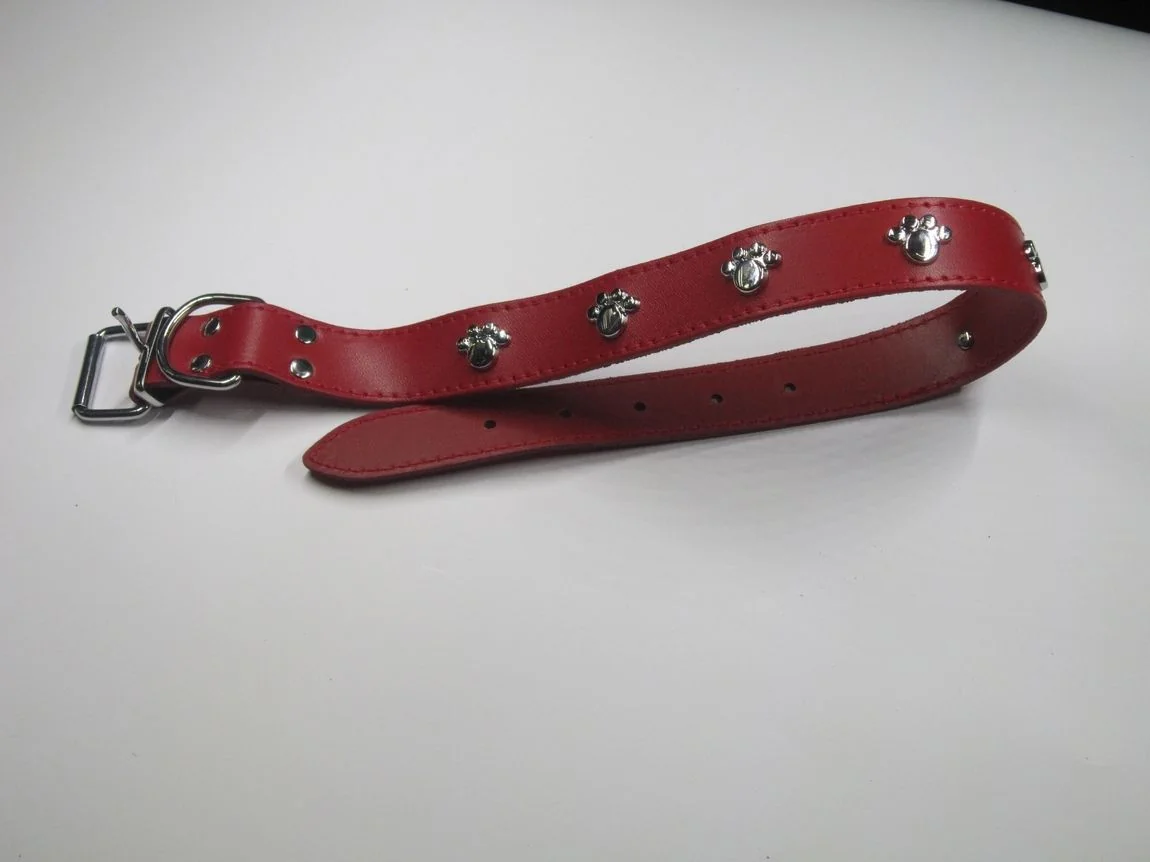 Streetside Zgarda Labute 2.0X45 cm Rosu Nr 2