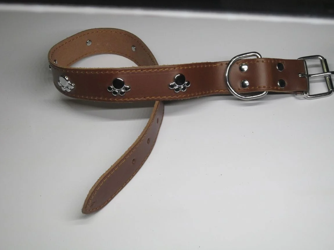 Streetside Zgarda Labute 2.5X53 cm Maro Nr 3