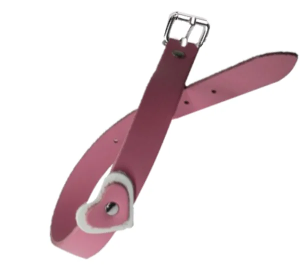 Zgarda Caine Streeetside Inima 1.2/36 cm Roz Nr 0