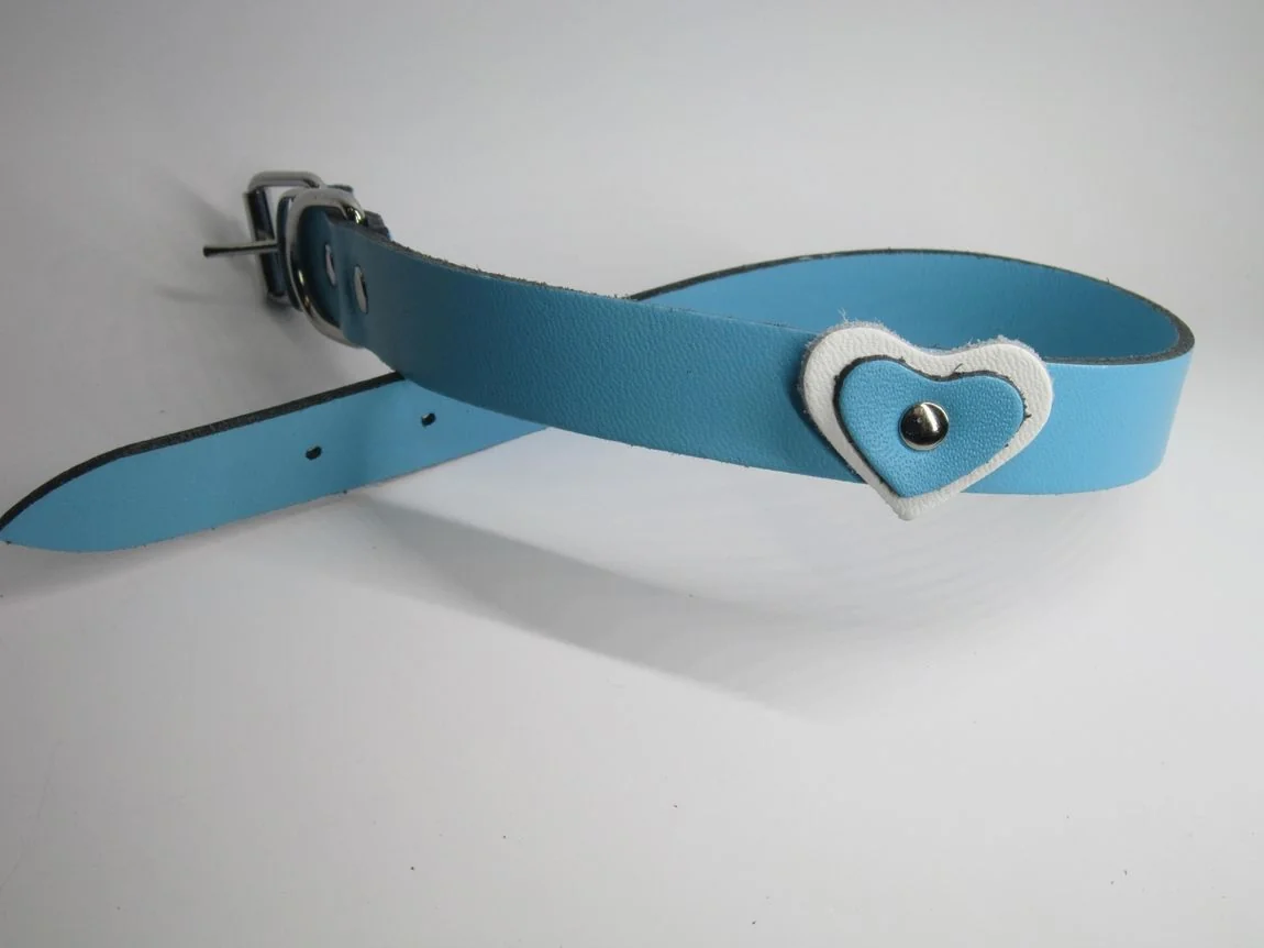 Zgarda Câine Streeetside Inima 1.2/36 cm Albastru Nr 0