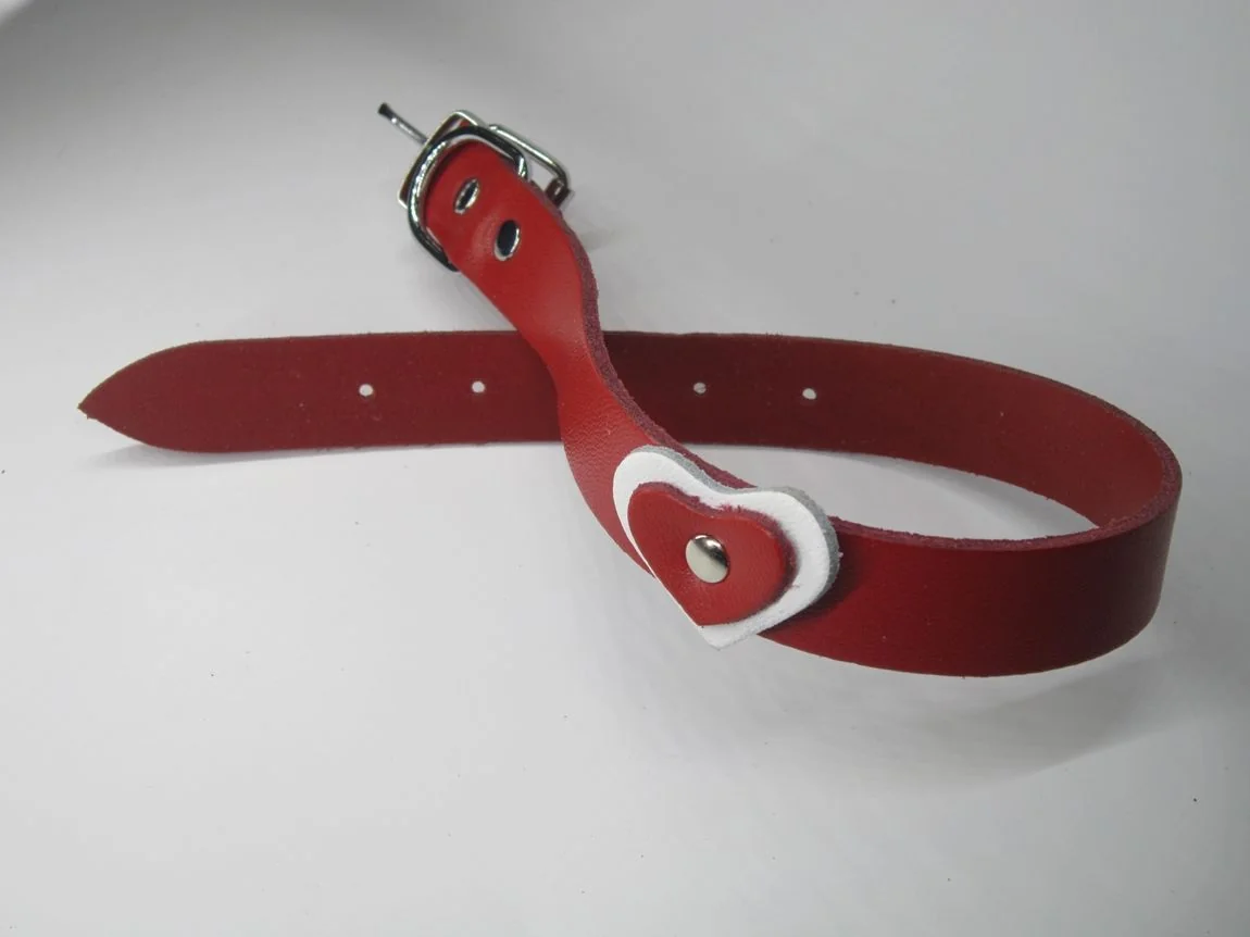 Zgarda Caine Streeetside Inima 1.2/36 cm Rosu Nr 0