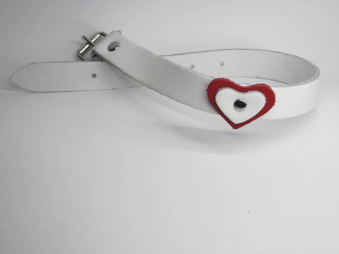 Zgarda Câine Streetside Inima 2.0/45 cm Alb Nr 2