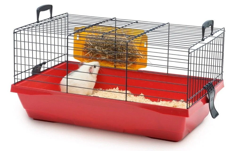 Pet Expert Cusca Rody Basic 58 cm